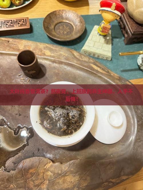 大叶纯香普洱茶