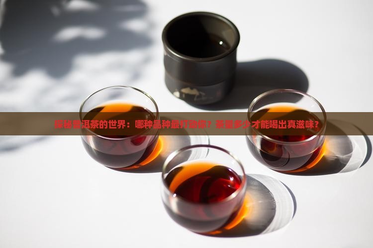 普洱茶品种和茶量