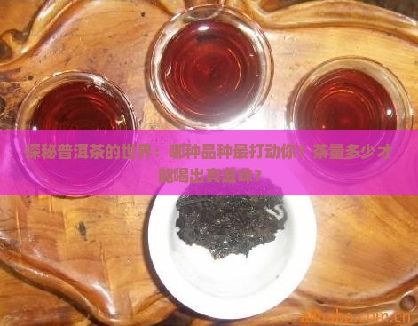 普洱茶品种和茶量