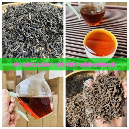 茶叶应该怎么保存