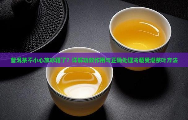 普洱茶不小心放冰箱了