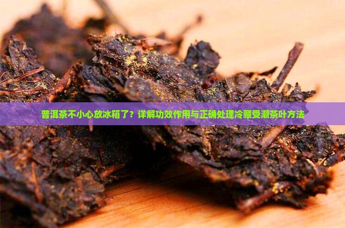 普洱茶不小心放冰箱了