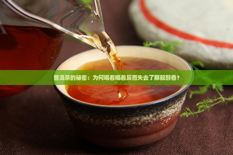 普洱茶为什么不能越喝越香