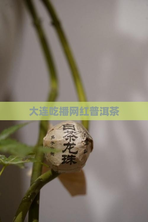 大连吃播网红普洱茶