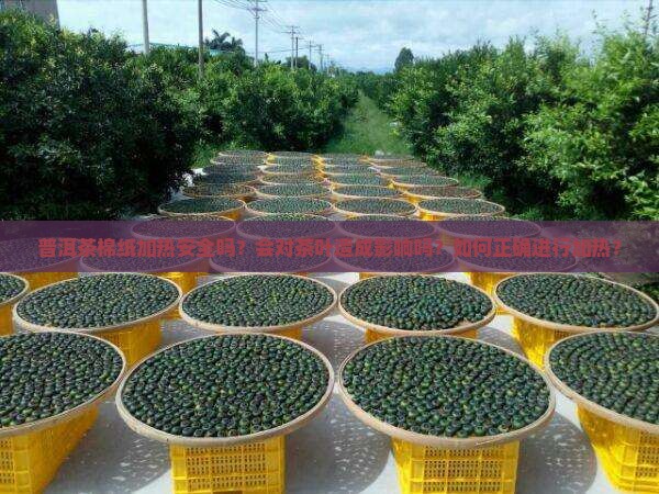 普洱茶棉纸加热