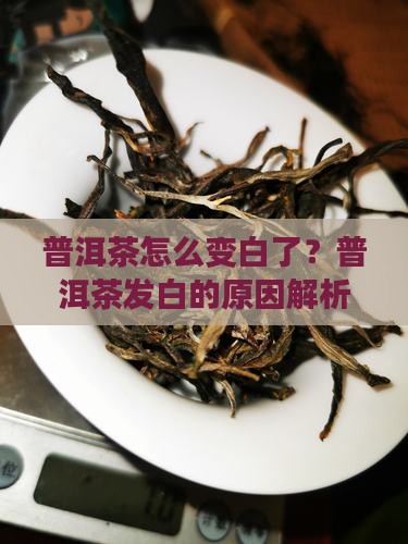 普洱茶怎么变白了呢