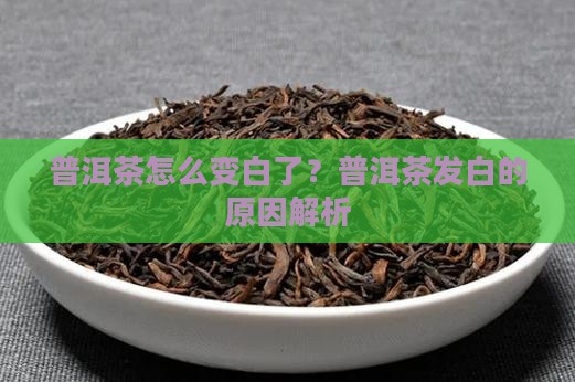 普洱茶怎么变白了呢