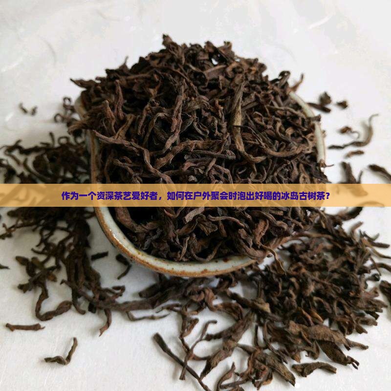冰岛古树茶怎么泡好喝