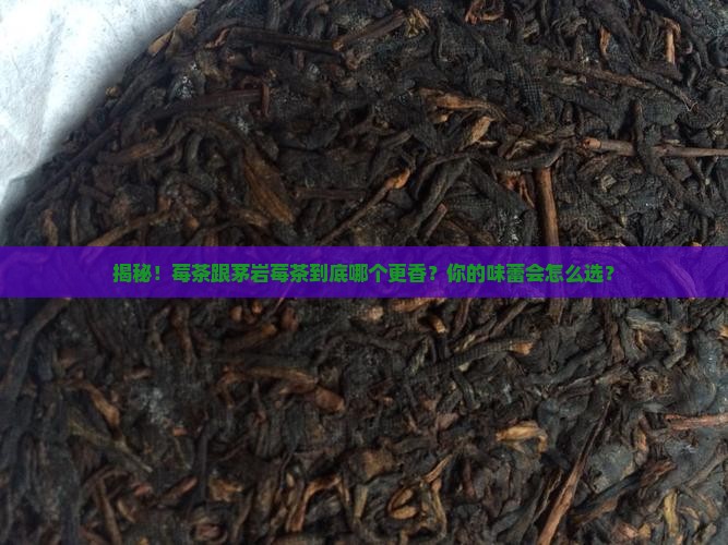 莓茶和茅岩莓茶的区别