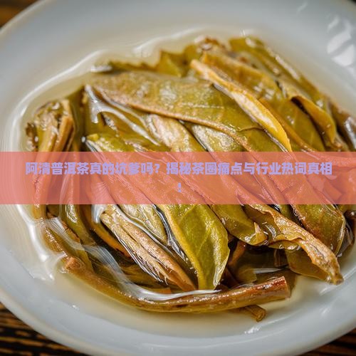 阿清普洱茶坑爹吗
