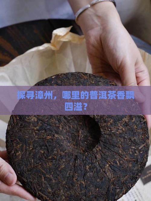 漳州哪里有卖普洱茶
