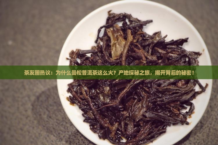 曼松普洱茶产地