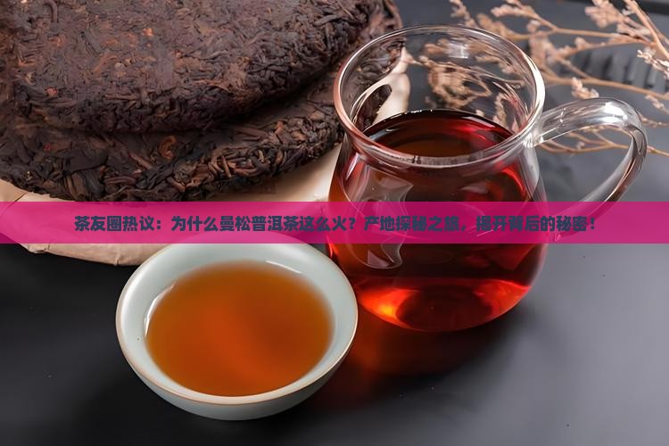 曼松普洱茶产地