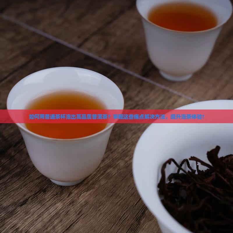 普洱茶普通茶杯