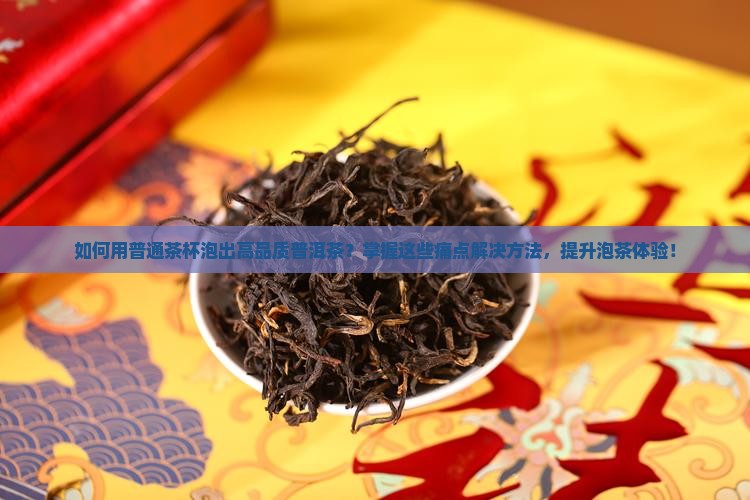 普洱茶普通茶杯