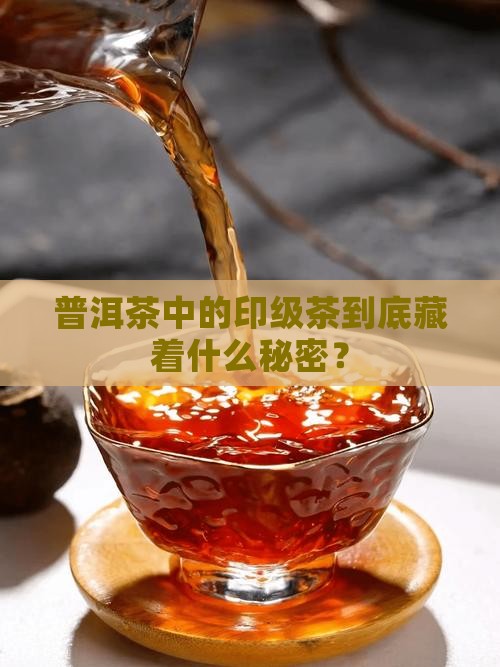 普洱茶的印级茶是什么意思
