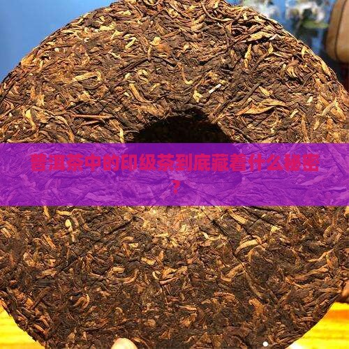 普洱茶的印级茶是什么意思