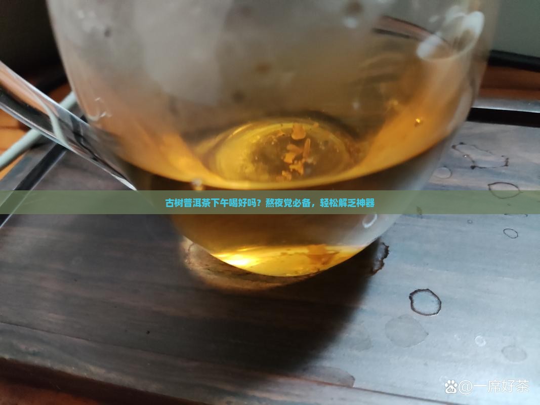 古树普洱茶下午喝好吗