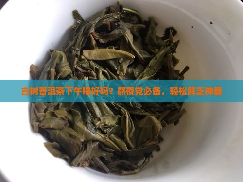 古树普洱茶下午喝好吗