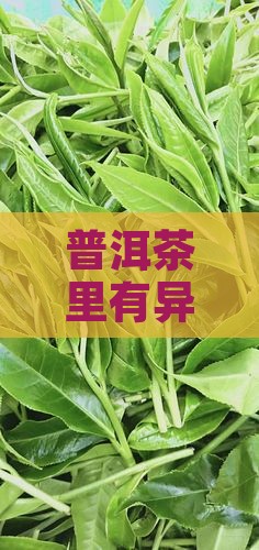 普洱茶里有异物弄出来有事吗