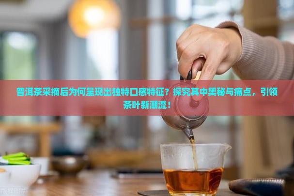 普洱茶采摘后的口感特征