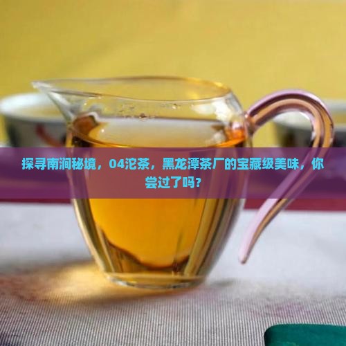 大理南涧黑龙潭茶厂04沱茶