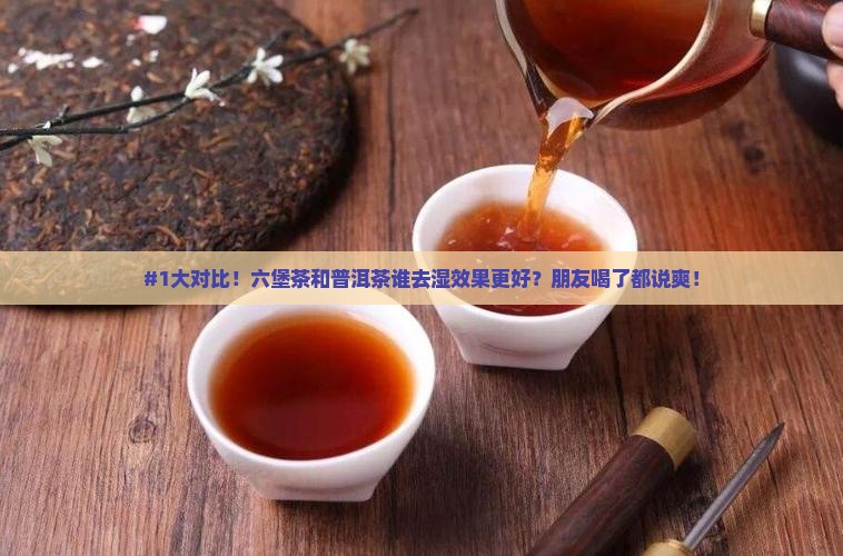 六堡茶和普洱茶去湿哪个好