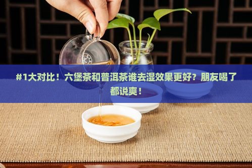 六堡茶和普洱茶去湿哪个好
