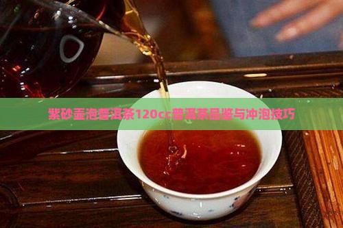 普洱茶120cc