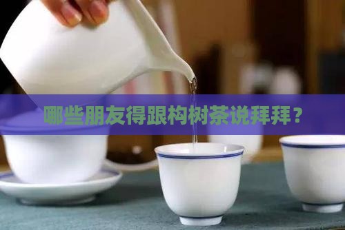 什么人不能喝构树茶