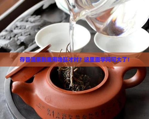 收藏普洱茶用什么缸好养