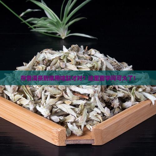 收藏普洱茶用什么缸好养