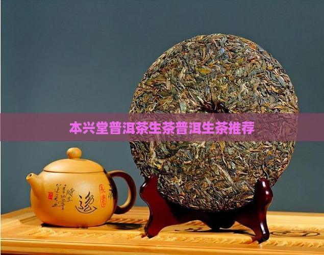 本兴堂普洱茶生茶