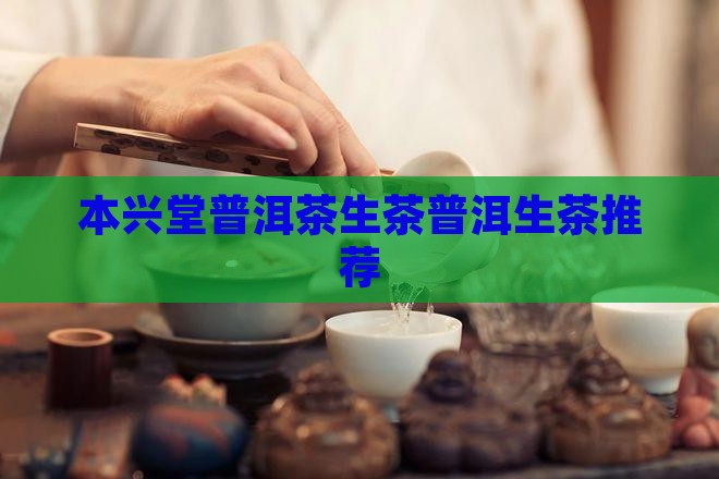 本兴堂普洱茶生茶