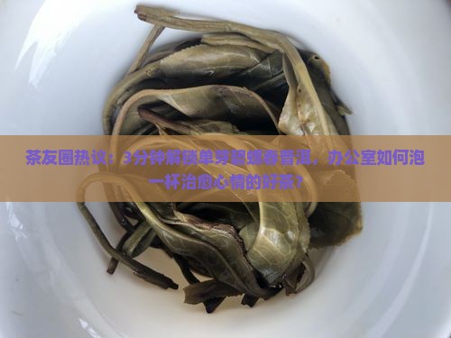 单芽碧螺春普洱