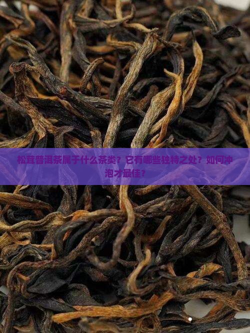 松茸普洱茶属于什么茶类
