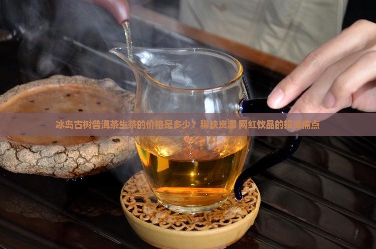 冰岛古树普洱茶生茶的价格