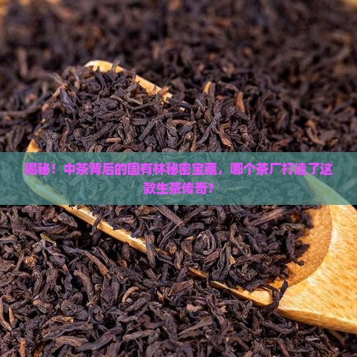 中茶是哪个茶厂产的国有林生茶
