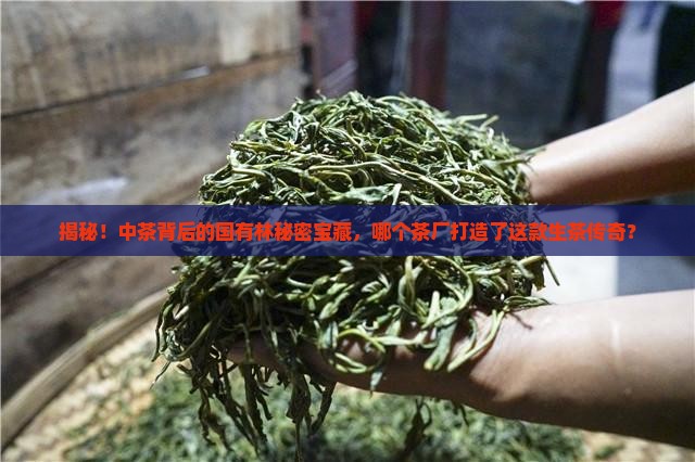 中茶是哪个茶厂产的国有林生茶