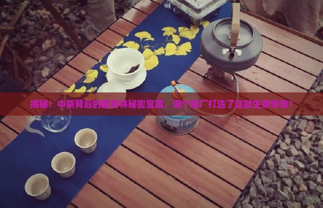 中茶是哪个茶厂产的国有林生茶