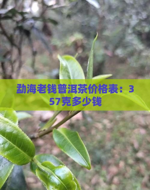 勐海老钱普洱茶价格表