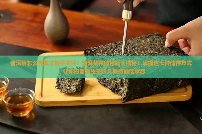 普洱茶怎么放才能保存久