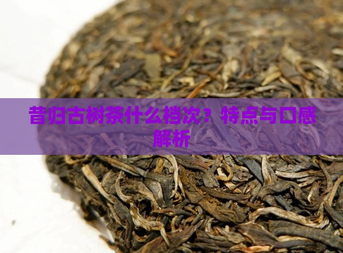 昔归古树茶什么档次