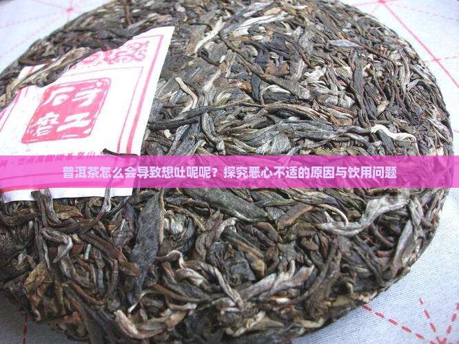 喝普洱茶怎么会想吐呢呢