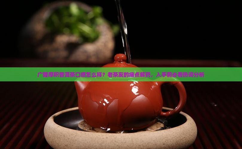 广隆厚积普洱茶口感