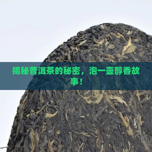 泡茶解说普洱茶