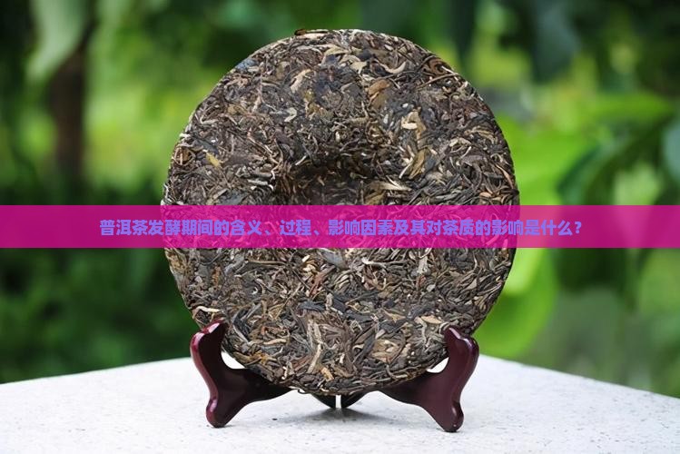 什么叫普洱茶的发酵期间