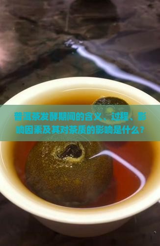 什么叫普洱茶的发酵期间