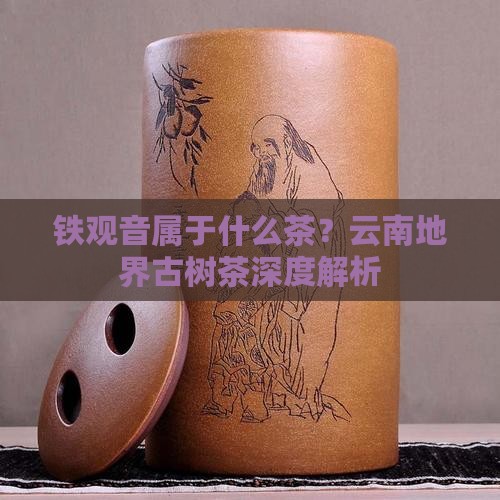铁观音属于什么茶云南地界古树茶