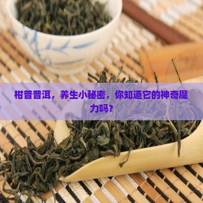 柑普普洱茶的功效